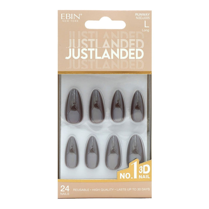 EBIN 3D Nail JUSTLANDED